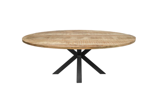 Ovale Table à manger - 200x100 cm - massief Bois de manguier/metaal