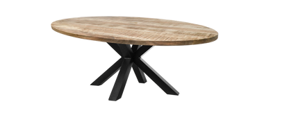 Ovale Table à manger - 200x100 cm - massief Bois de manguier/metaal