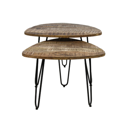 Table basse Dexter - ø60 cm - bois de manguier/fer - lot de 2